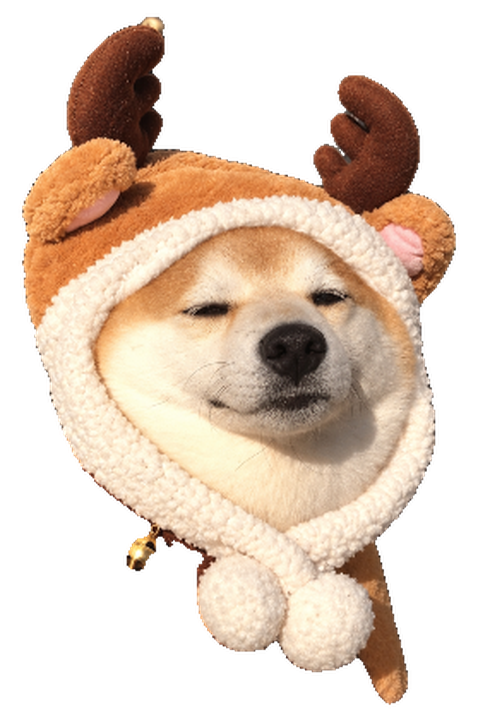 Reindoge, a Shiba Inu in a reindeer hood with antlers, a bell and white pom-poms, eyes contentedly closed